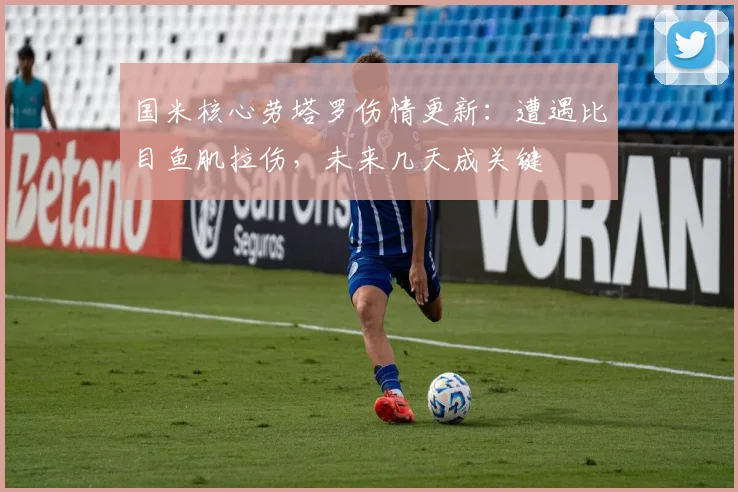 国米核心劳塔罗伤情更新：遭遇比目鱼肌拉伤，未来几天成关键